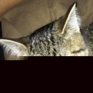 Tracy Murray Photo 15