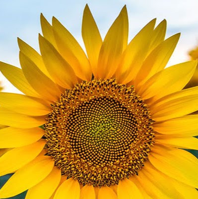 Megan Moran Photo 31