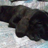 Jeremy Short Photo 13