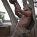 Mary Greenway Photo 29