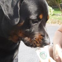 Kimberly Hayden Photo 22