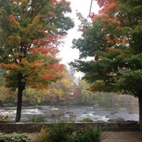 Nancy Plouffe Photo 11