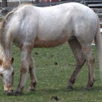 Sandy Godfrey Photo 27