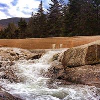 Janet Roper Photo 14