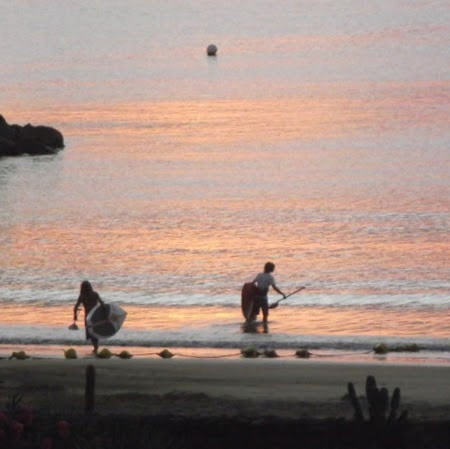 Joe Appleton Photo 20