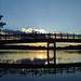 Ann Parks Photo 29
