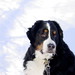 Sam Winter Photo 8