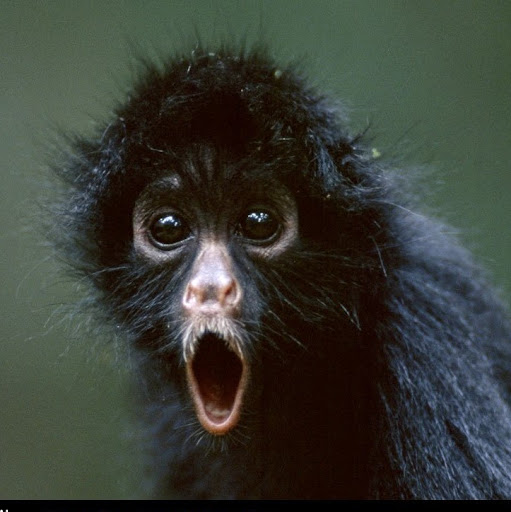 John Barth Photo 33 John Barth Photo 33