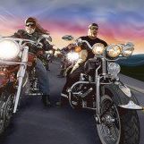 Mike Hartman Photo 18