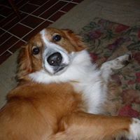 James Parrott Photo 17