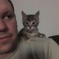 Daniel Lint Photo 17