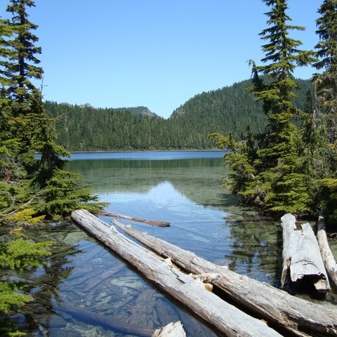 Laura Wilkins Photo 14