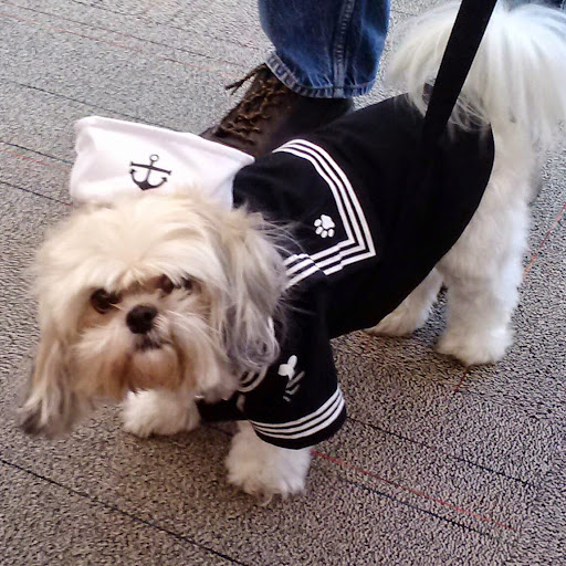 John Singleton Photo 7