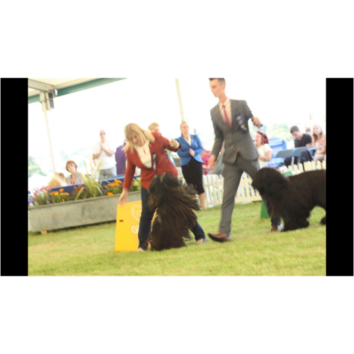 Amanda Mills Photo 40