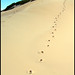 Jeffrey Sands Photo 28