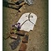Thomas Mccullough Photo 47