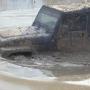 Debra Winkler Photo 4