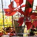 Regina Horst Photo 7