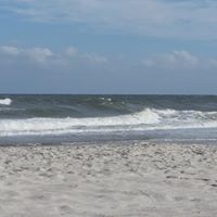 Lisa Bohm Photo 13