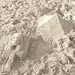 Amy Crain Photo 12