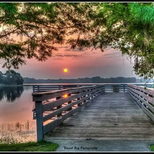 Vicki Adams Photo 26