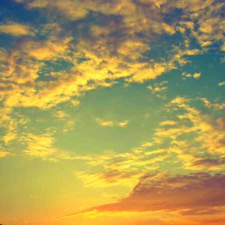 Andrew Jacobson Photo 16