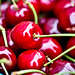 Crystal Farmer Photo 35