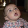 Diane Dalton Photo 13