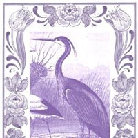 Ruth Davison Photo 21