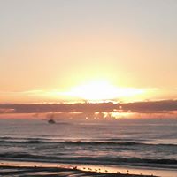 Deborah Frantz Photo 11