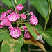 Laurel Rich Photo 8