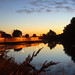 Dawn Lee Photo 11