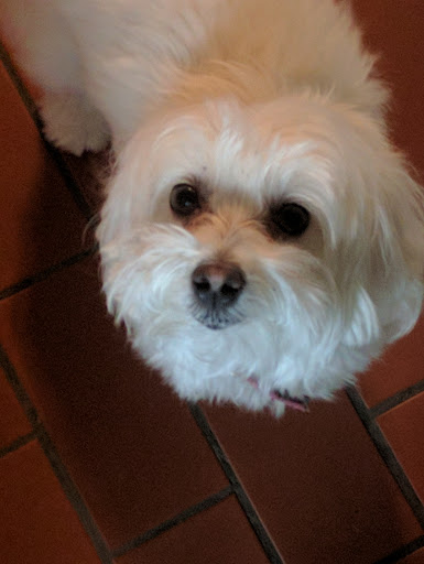 Kenneth Pope Photo 14 Kenneth Pope Photo 14