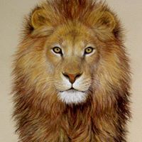 Julie Busby Photo 11