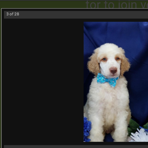 Marilyn Porter Photo 14