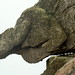 Agnes Downing Photo 6