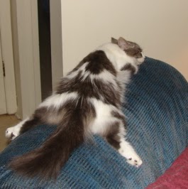 Lee Ratliff Photo 30