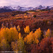 Juan Colorado Photo 35