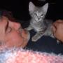Alan Singer Photo 43