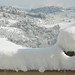 Andrea Greve Photo 23