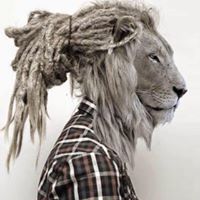 Alexander Cook Photo 5