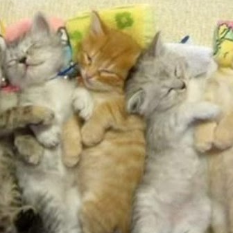 Patricia Mcleod Photo 12