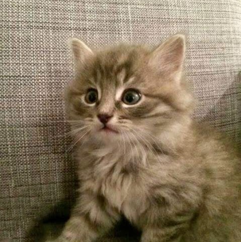 Arthur David Photo 29