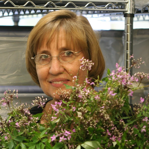 Edith Smith Photo 8