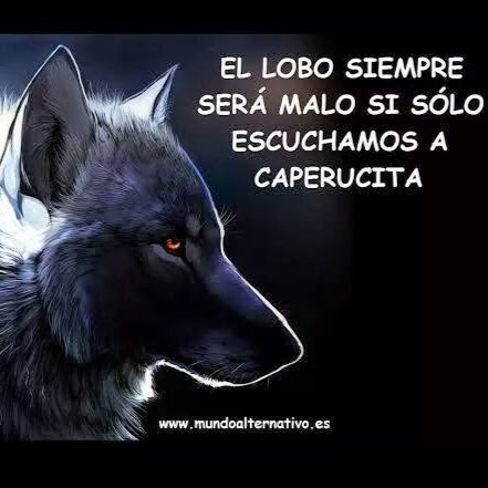 Saul Rojas Photo 27