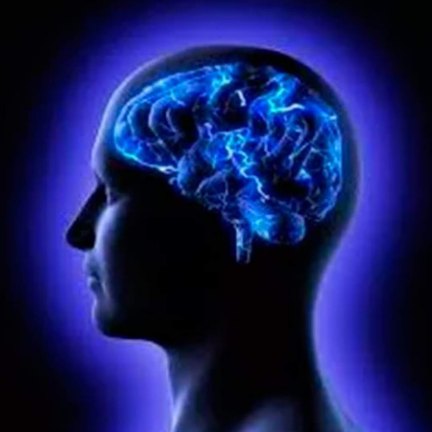 Vernetta Mayfield Photo 5