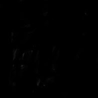 Edward Flores Photo 41