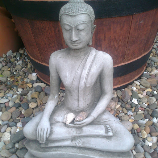 Jackie Pratt Photo 17