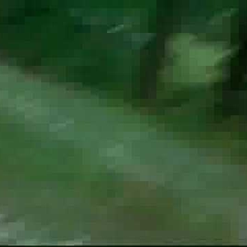 Thomas Gleason Photo 24