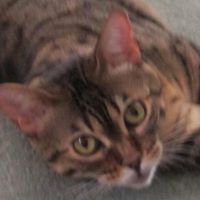 Frances Johns Photo 34